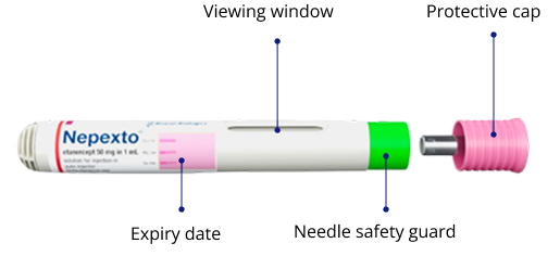 nepexto image